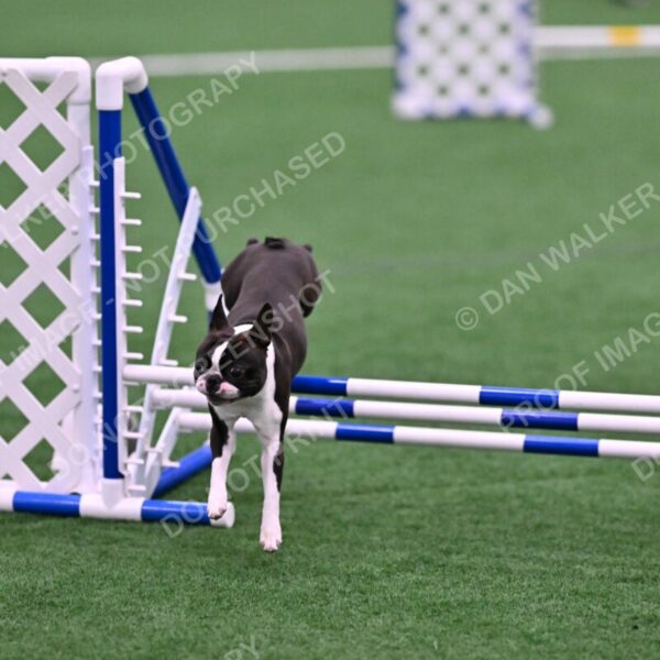 Bruno-Nancy-Huber-06583