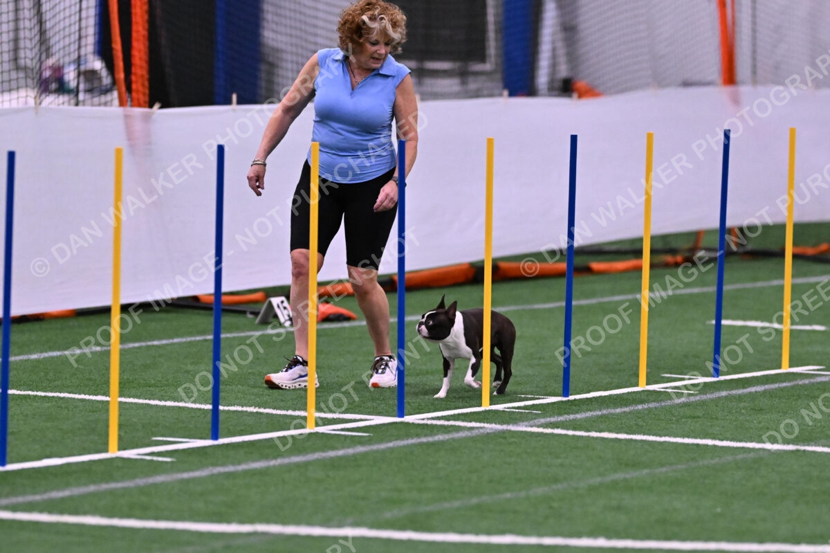 Bruno-Nancy-Huber-06585