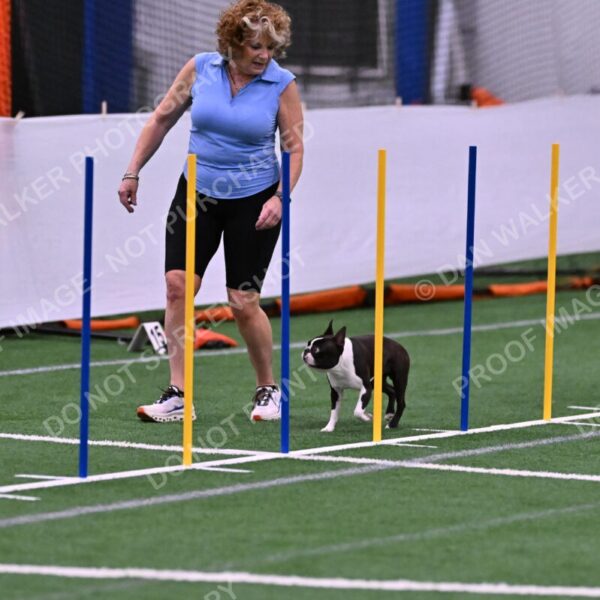 Bruno-Nancy-Huber-06585