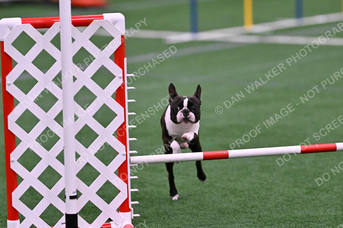 Bruno-Nancy-Huber-06589