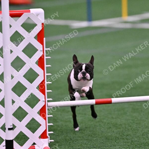 Bruno-Nancy-Huber-06589