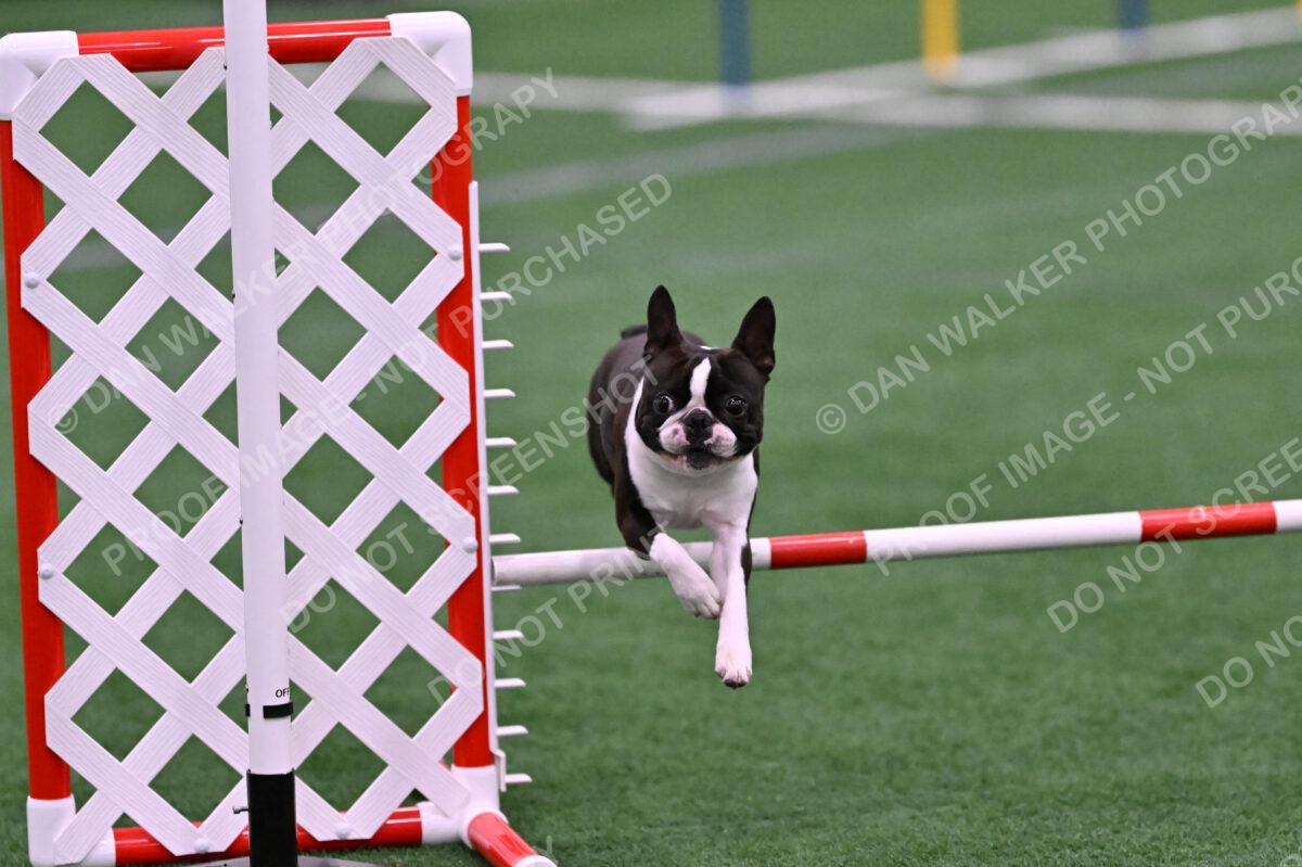 Bruno-Nancy-Huber-06591