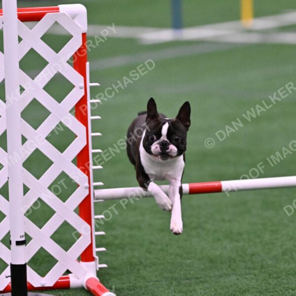 Bruno-Nancy-Huber-06591