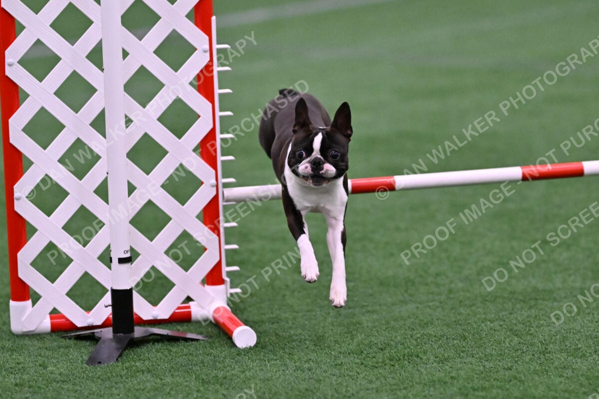 Bruno-Nancy-Huber-06592