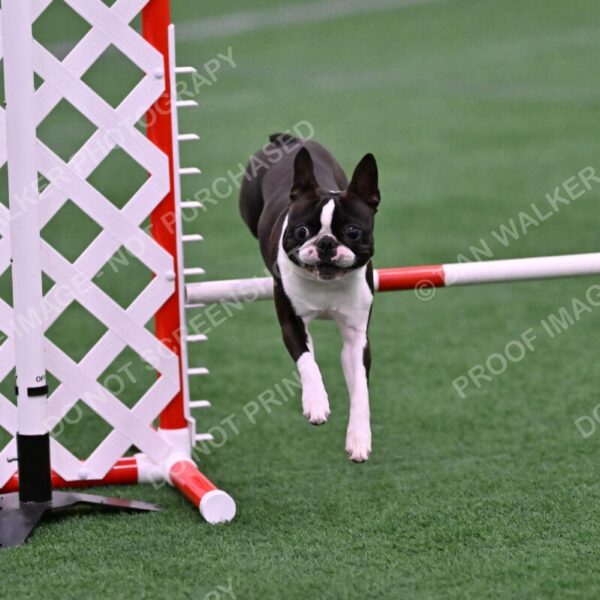 Bruno-Nancy-Huber-06592