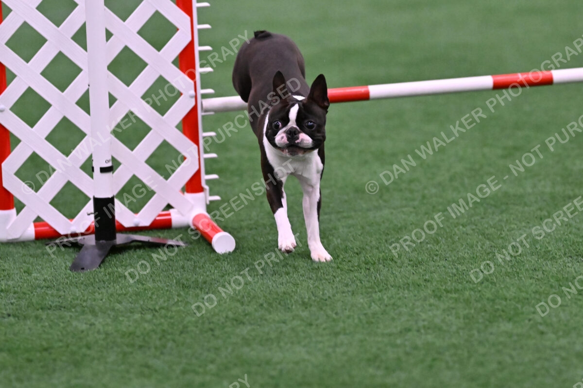 Bruno-Nancy-Huber-06593