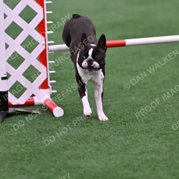 Bruno-Nancy-Huber-06593