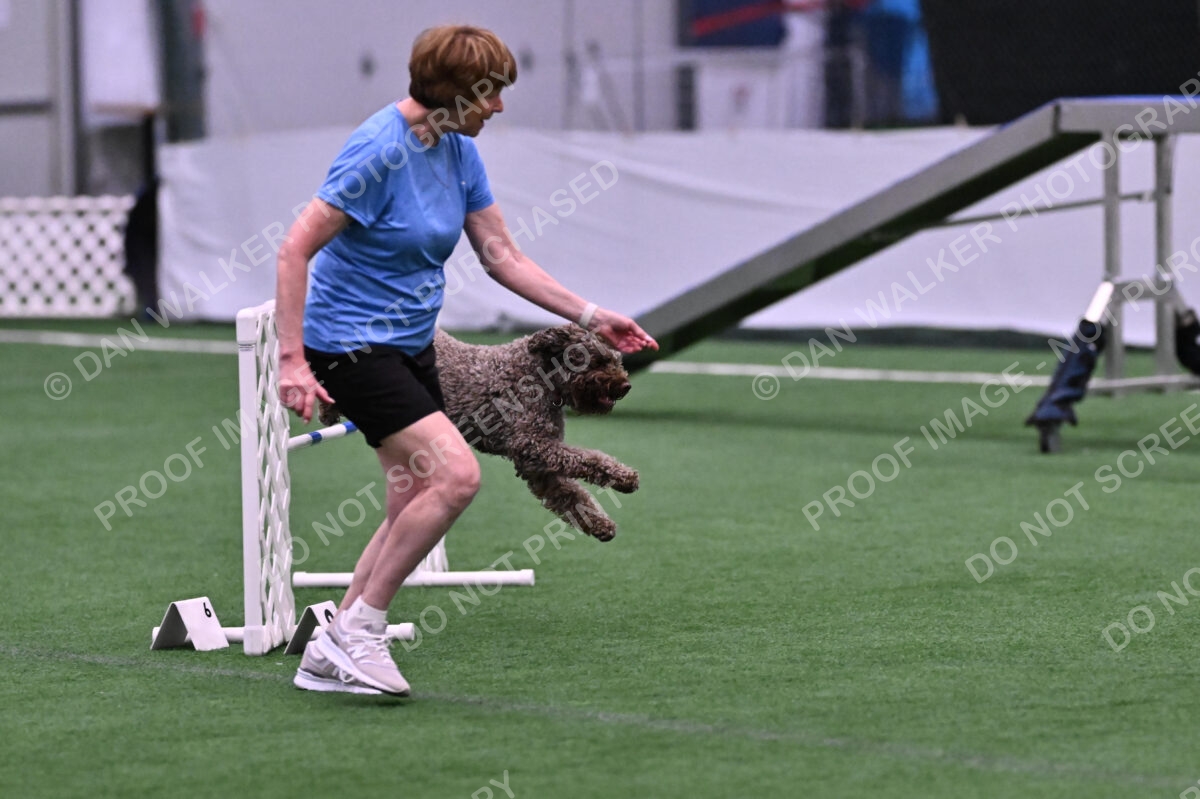 BuZzy-Deborah-Kaufman-08727