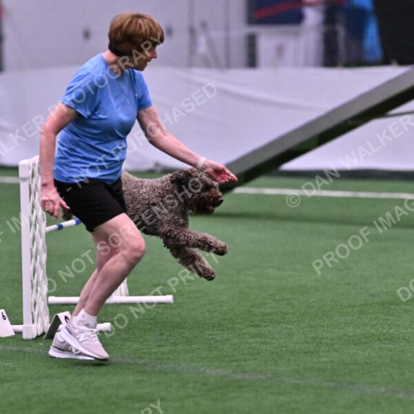 BuZzy-Deborah-Kaufman-08727