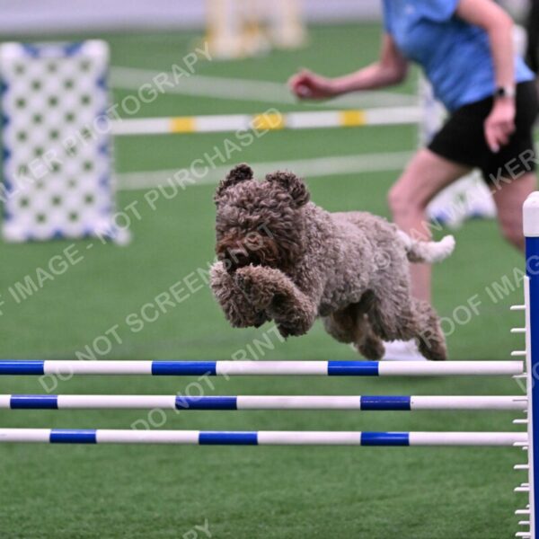 BuZzy-Deborah-Kaufman-08740