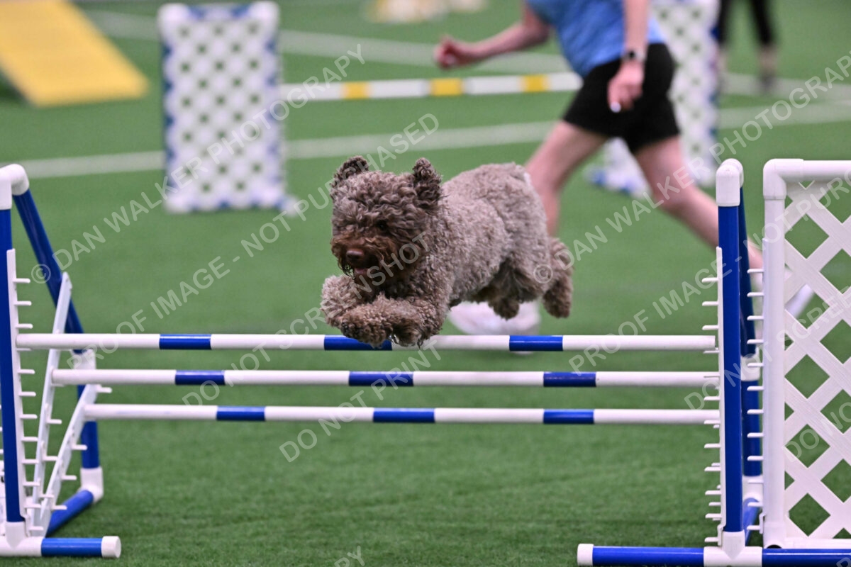 BuZzy-Deborah-Kaufman-08741