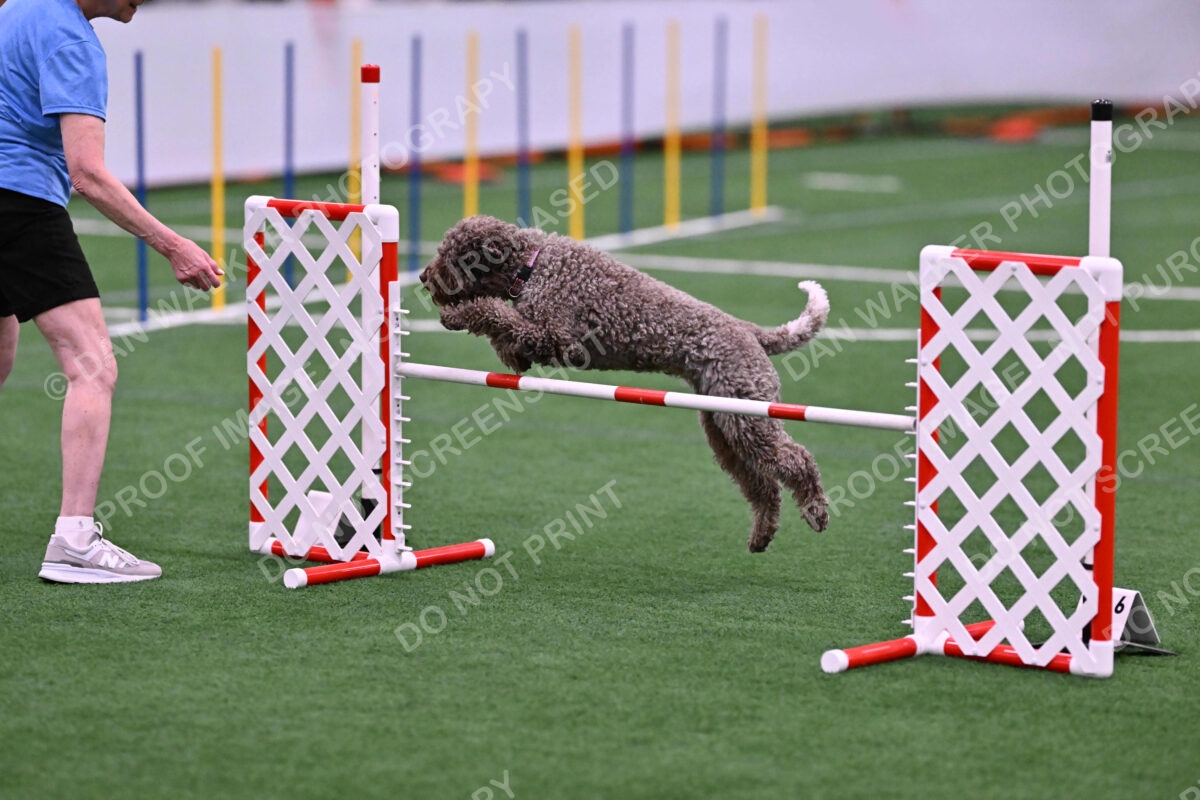 BuZzy-Deborah-Kaufman-08742