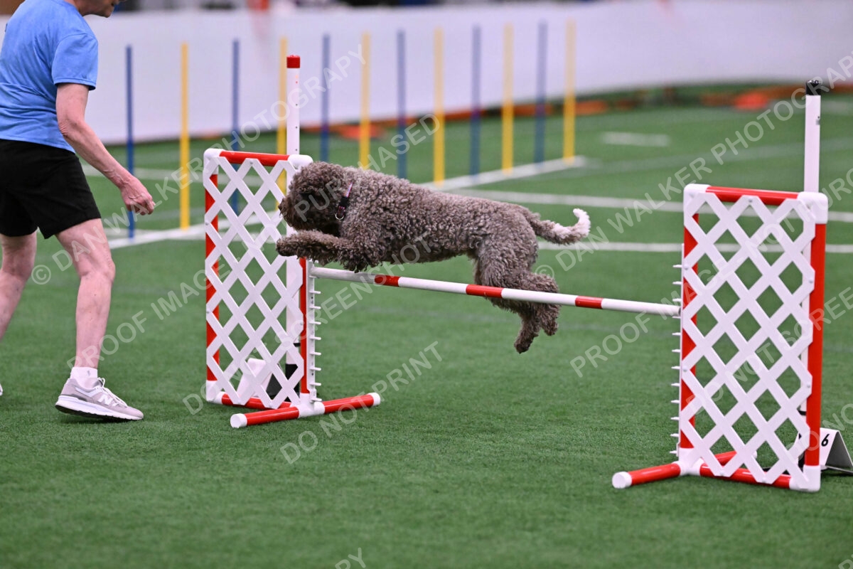 BuZzy-Deborah-Kaufman-08743