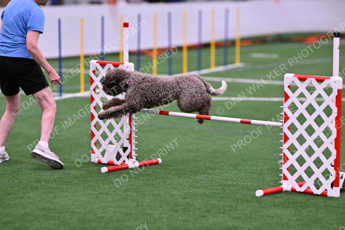 BuZzy-Deborah-Kaufman-08744