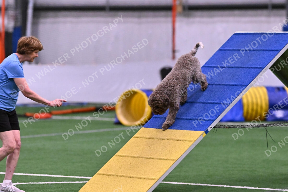 BuZzy-Deborah-Kaufman-08755