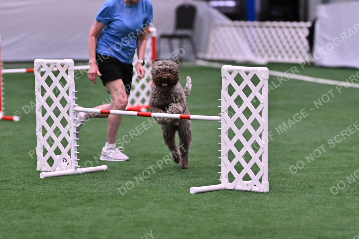 BuZzy-Deborah-Kaufman-08776