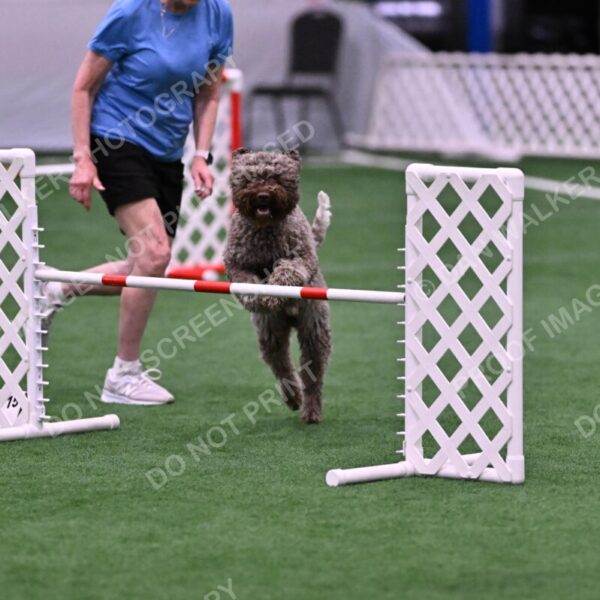 BuZzy-Deborah-Kaufman-08776