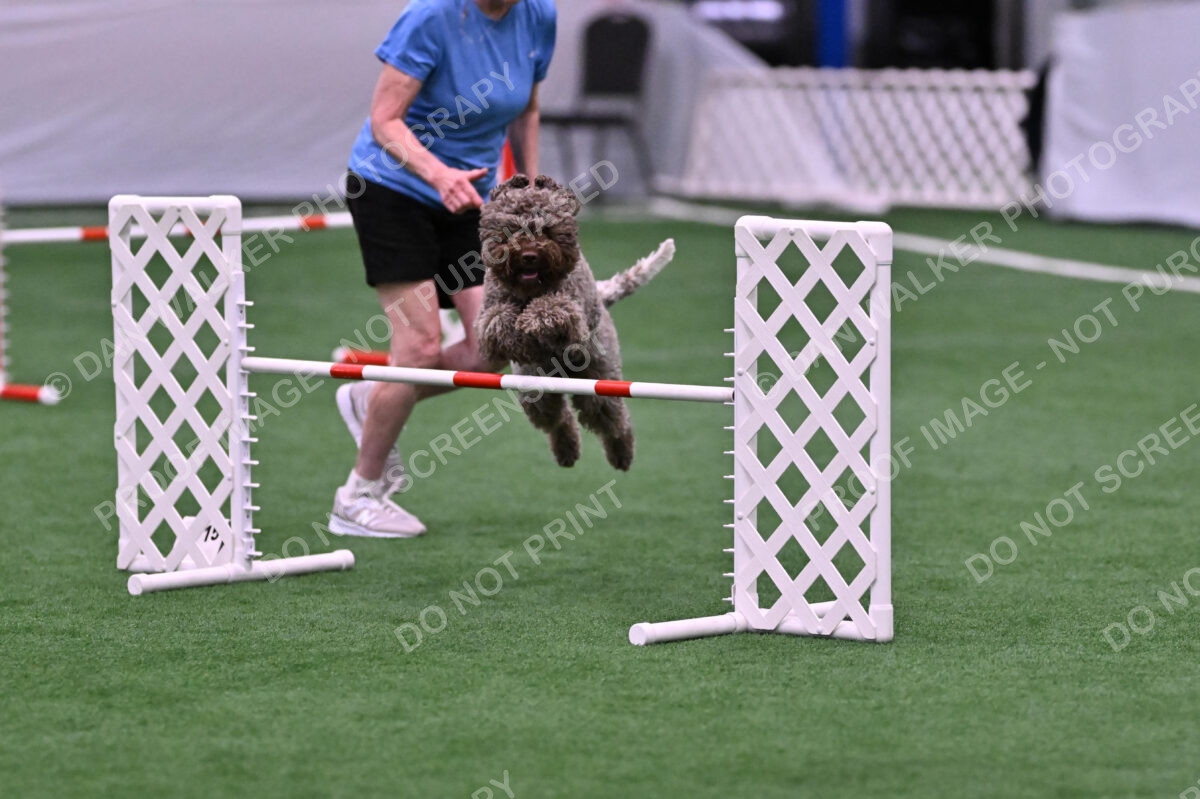 BuZzy-Deborah-Kaufman-08777