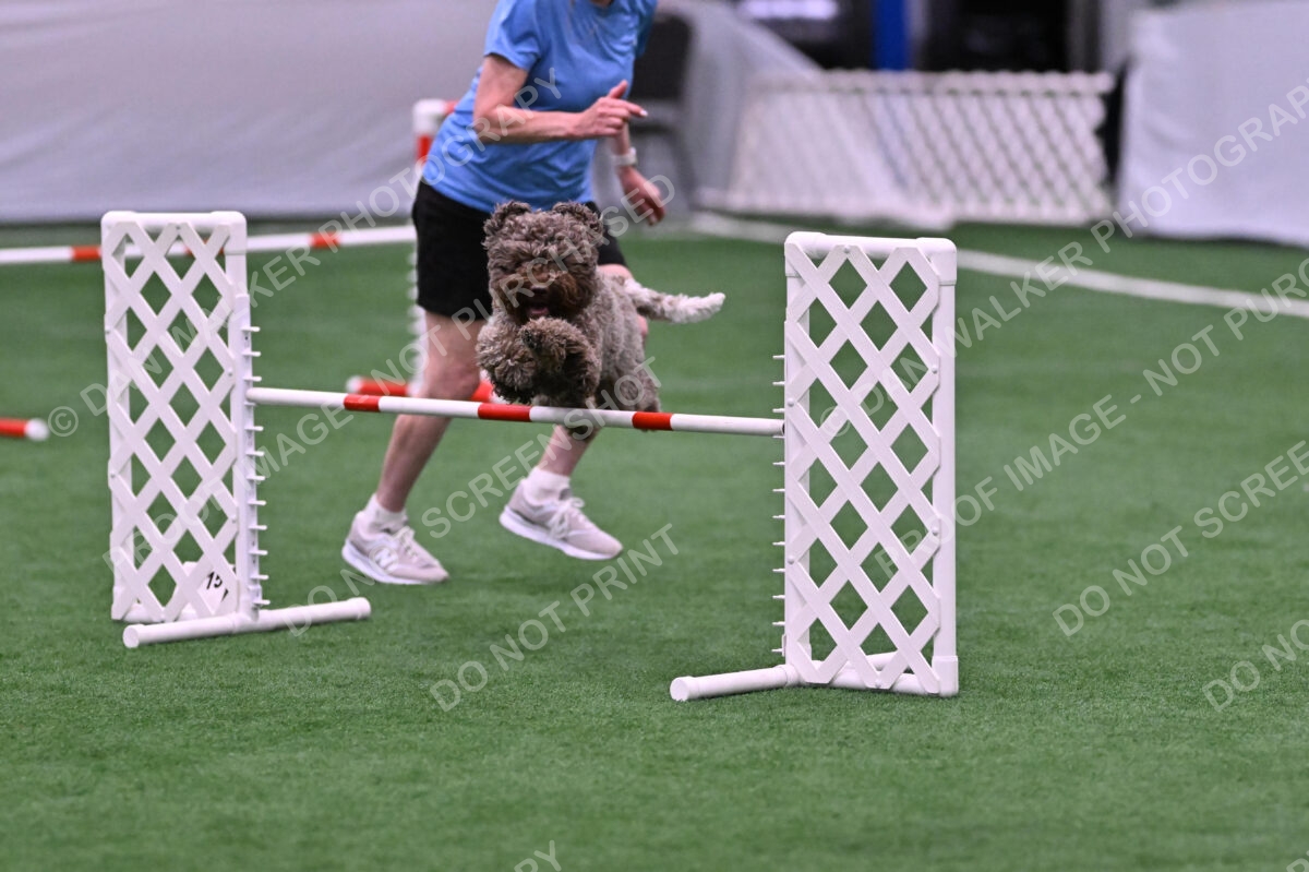 BuZzy-Deborah-Kaufman-08778