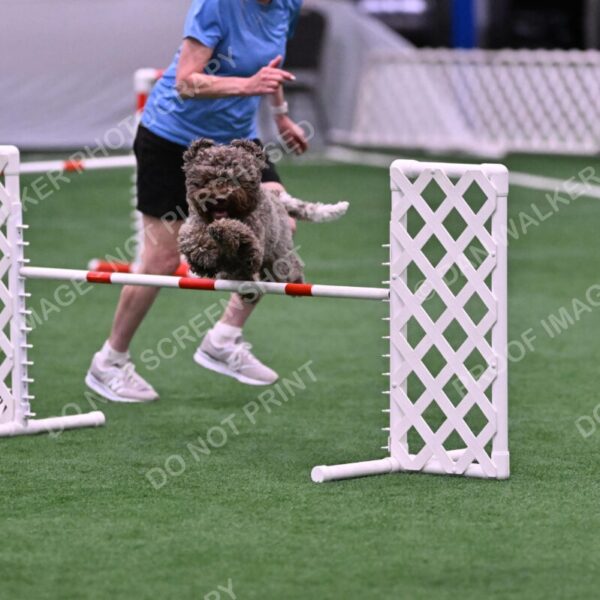 BuZzy-Deborah-Kaufman-08778