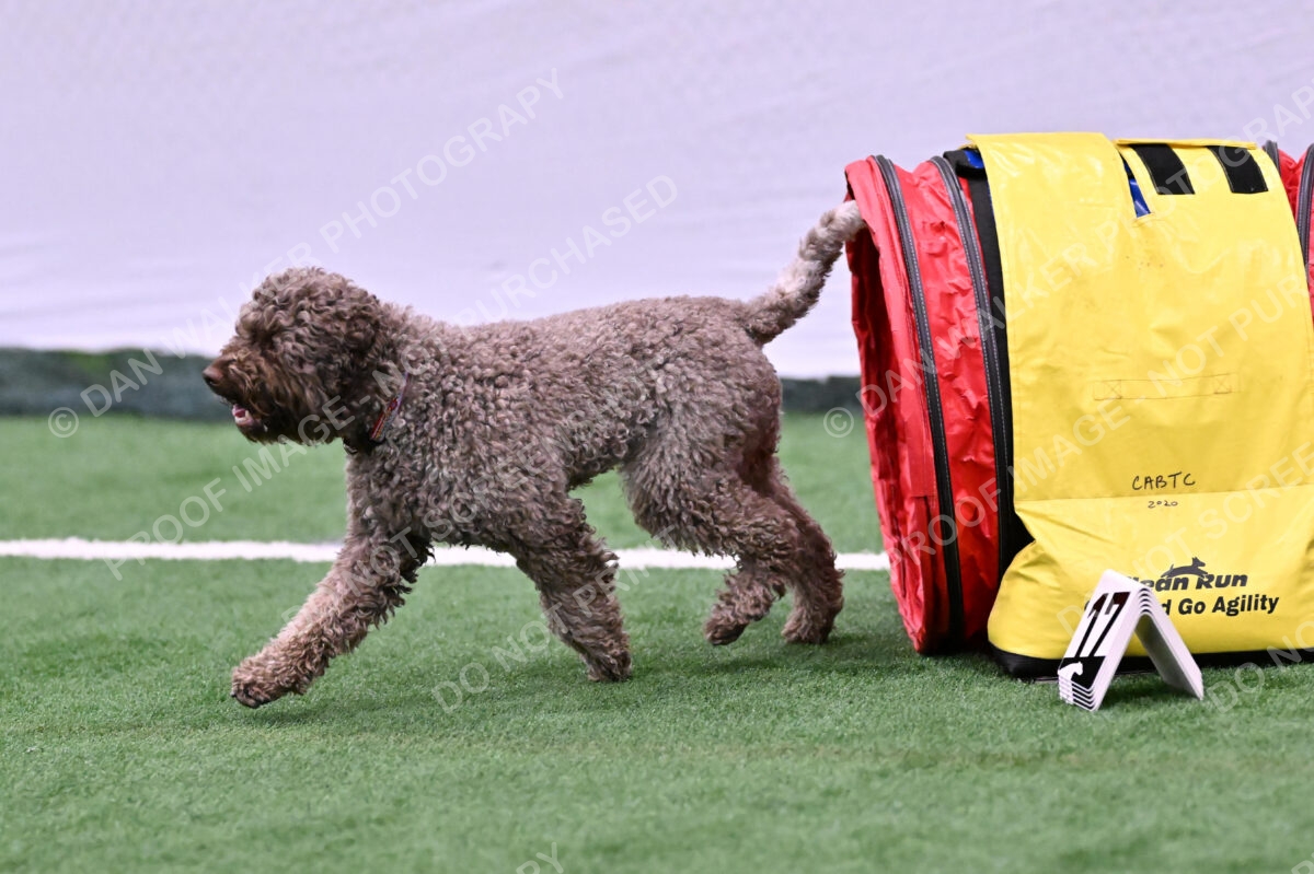 BuZzy-Deborah-Kaufman-08781