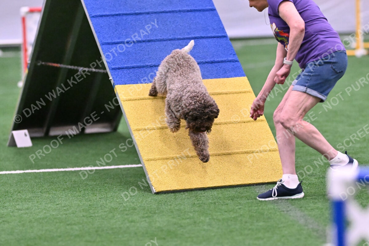 BuZzy-Deborah-Kaufman-08792