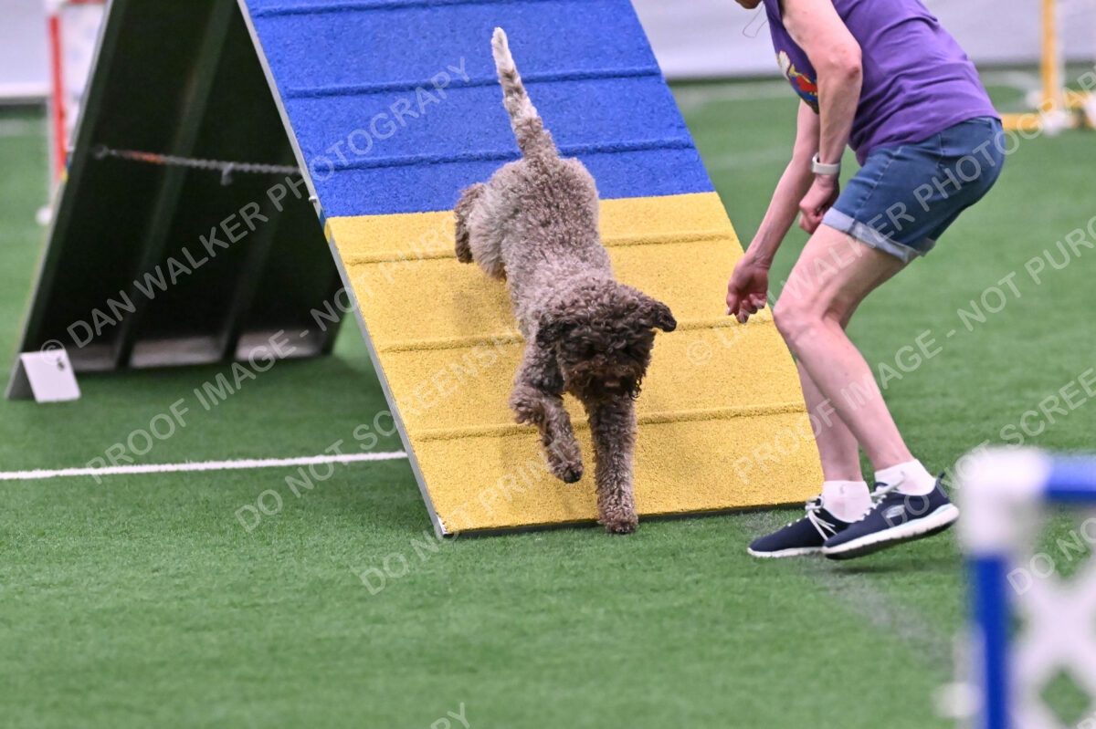 BuZzy-Deborah-Kaufman-08793