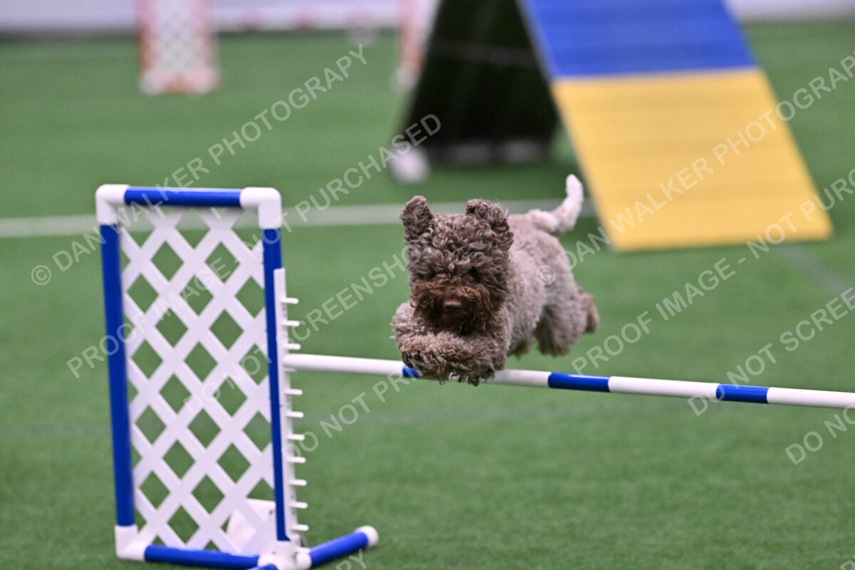 BuZzy-Deborah-Kaufman-08800