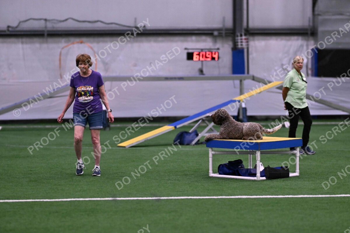 BuZzy-Deborah-Kaufman-08822