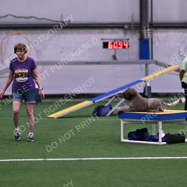 BuZzy-Deborah-Kaufman-08822