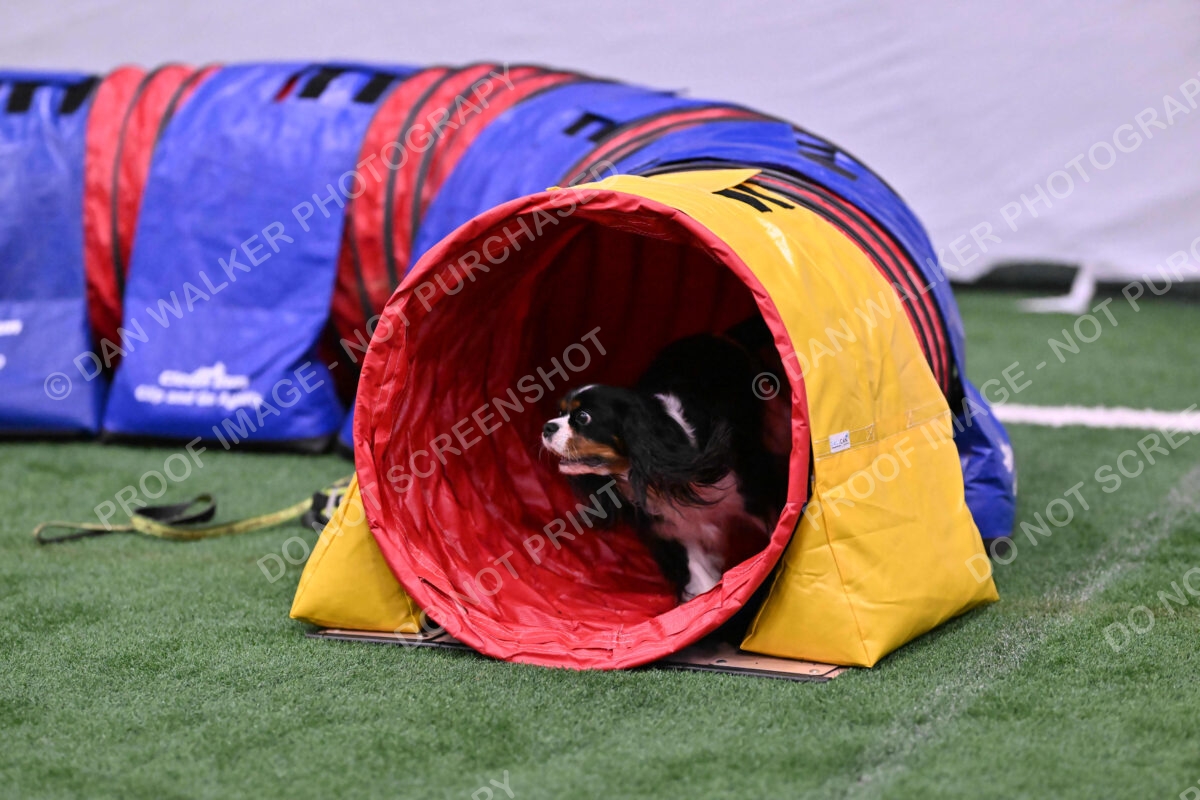 Cami-Rebecca-Schrader-10015