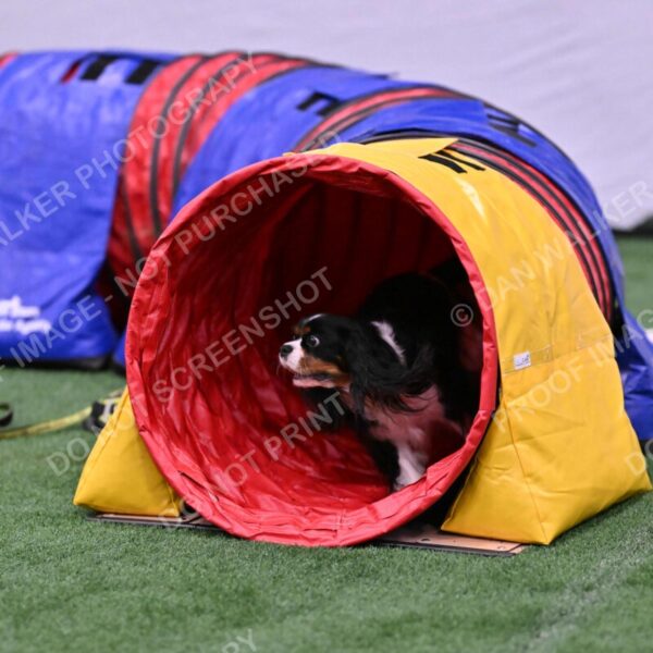 Cami-Rebecca-Schrader-10015