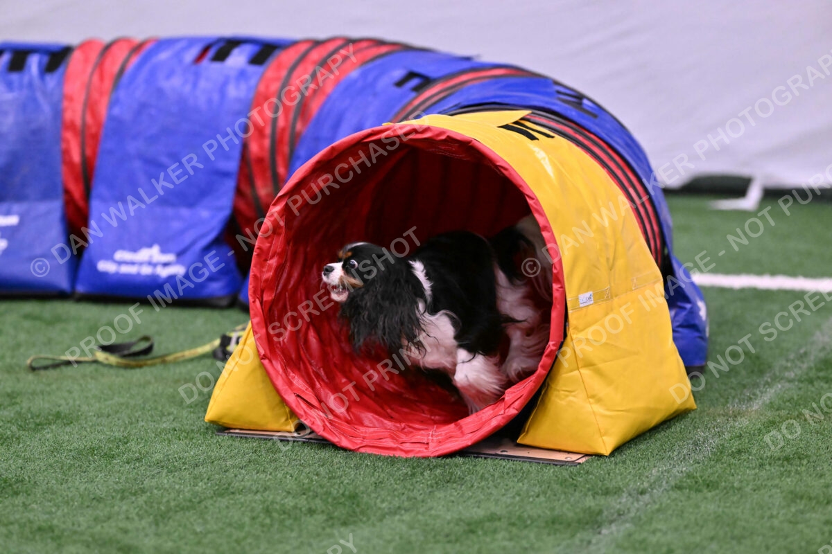 Cami-Rebecca-Schrader-10016