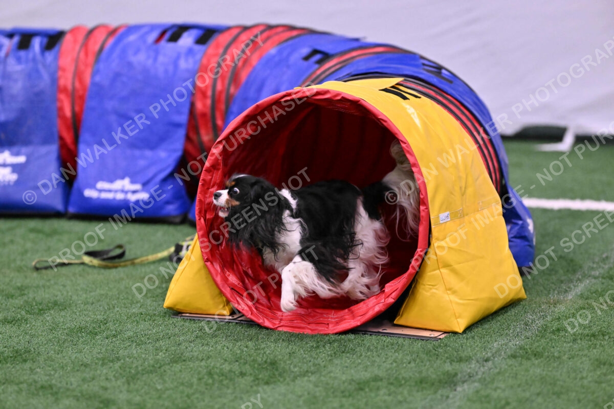 Cami-Rebecca-Schrader-10017