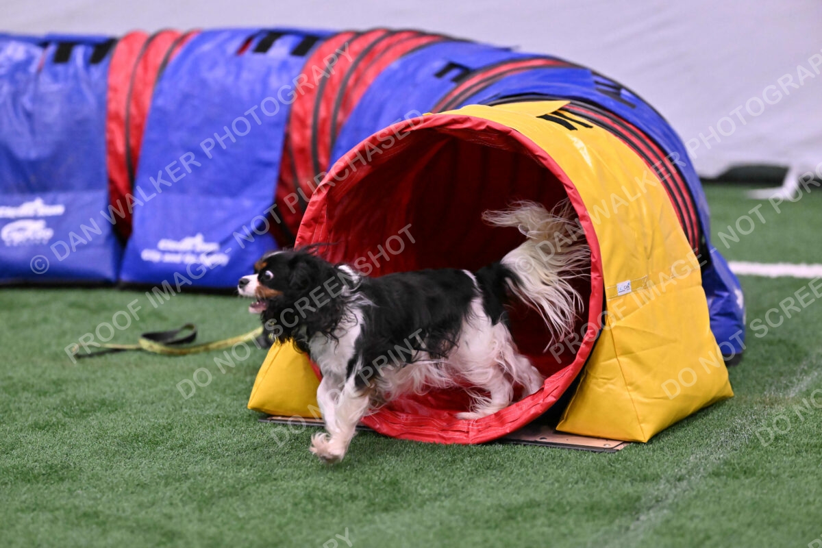 Cami-Rebecca-Schrader-10018