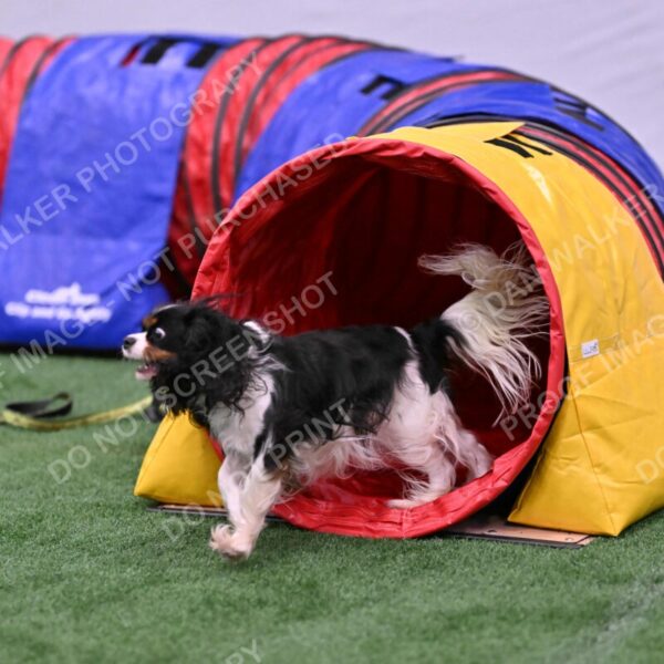 Cami-Rebecca-Schrader-10018