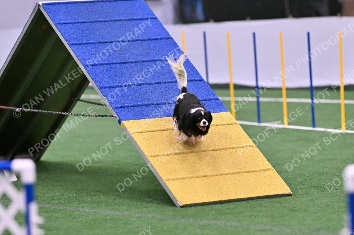 Cami-Rebecca-Schrader-10019