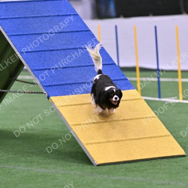 Cami-Rebecca-Schrader-10019