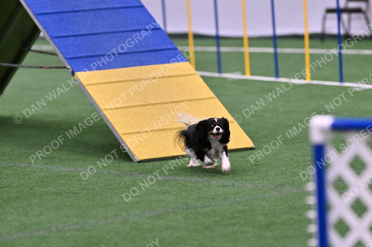 Cami-Rebecca-Schrader-10023