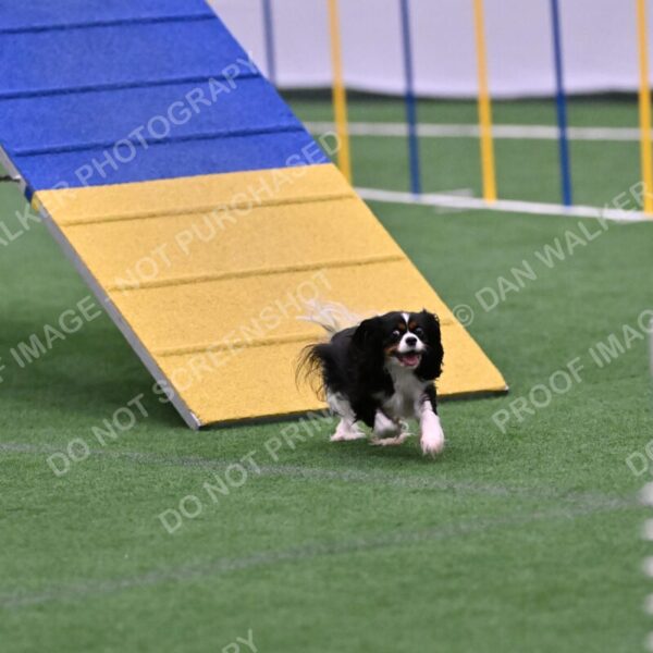 Cami-Rebecca-Schrader-10023