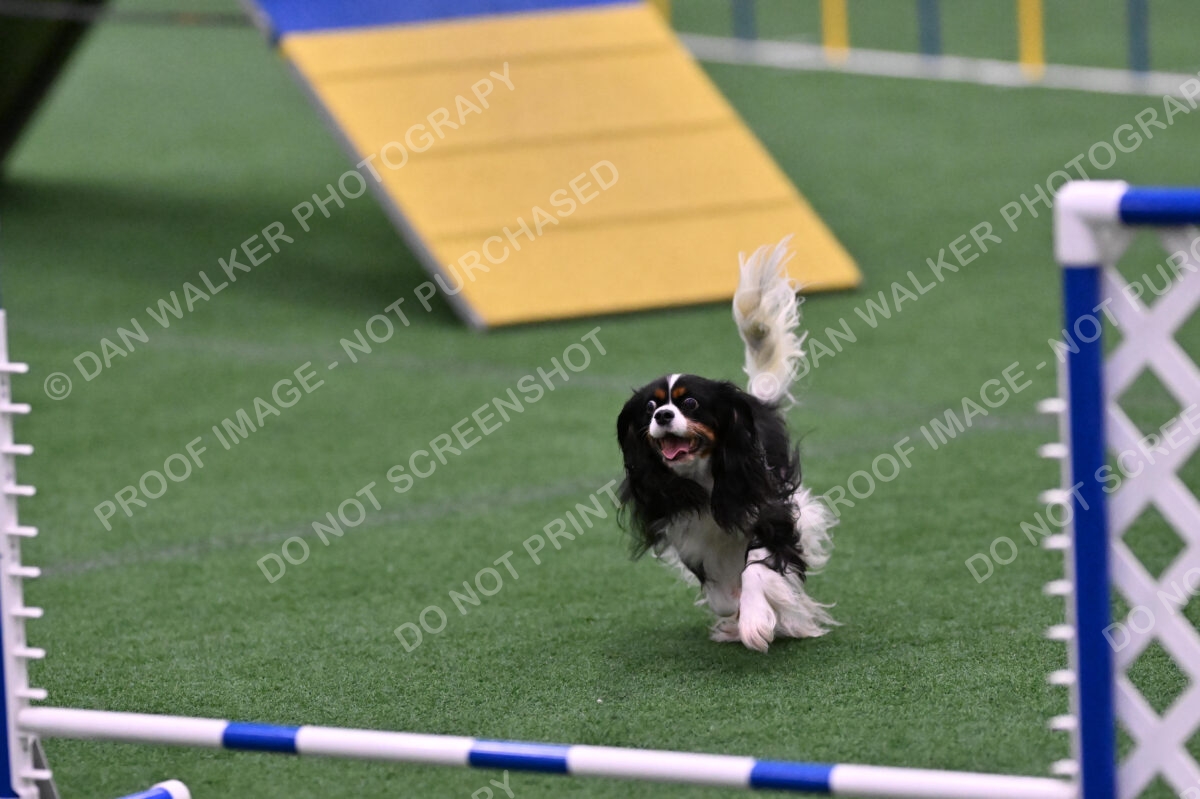 Cami-Rebecca-Schrader-10024