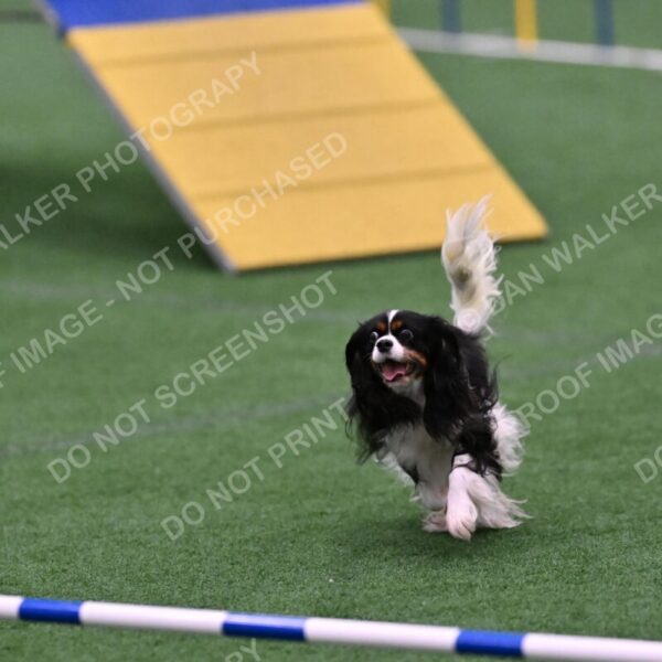 Cami-Rebecca-Schrader-10024