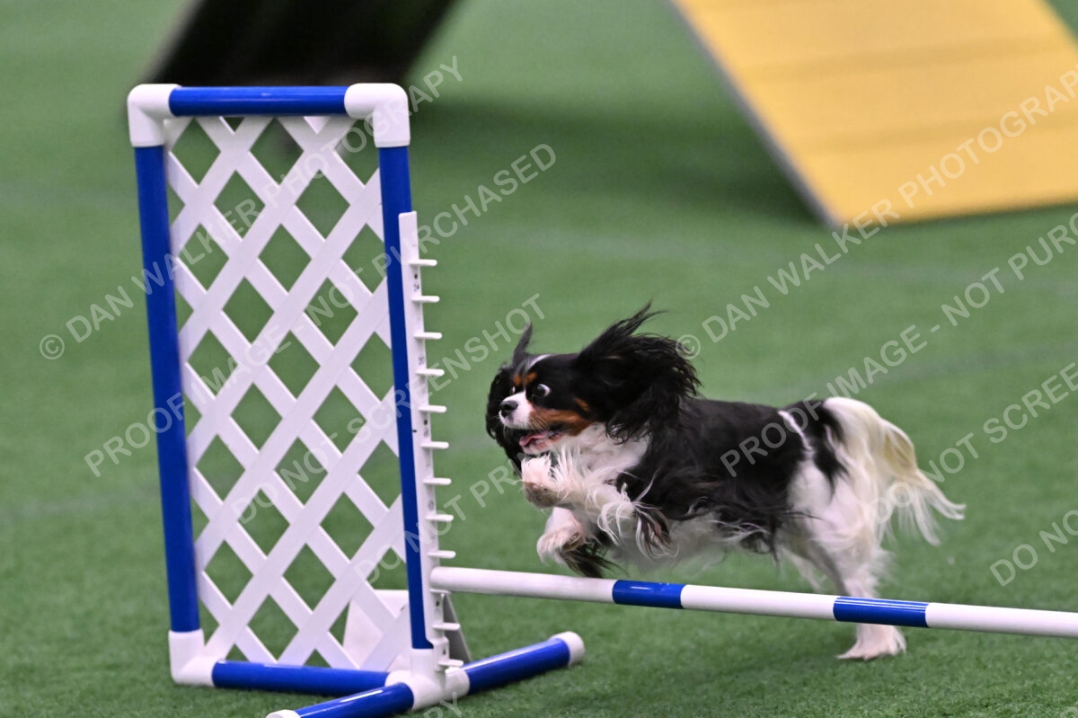 Cami-Rebecca-Schrader-10030