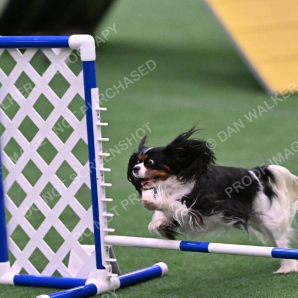 Cami-Rebecca-Schrader-10030