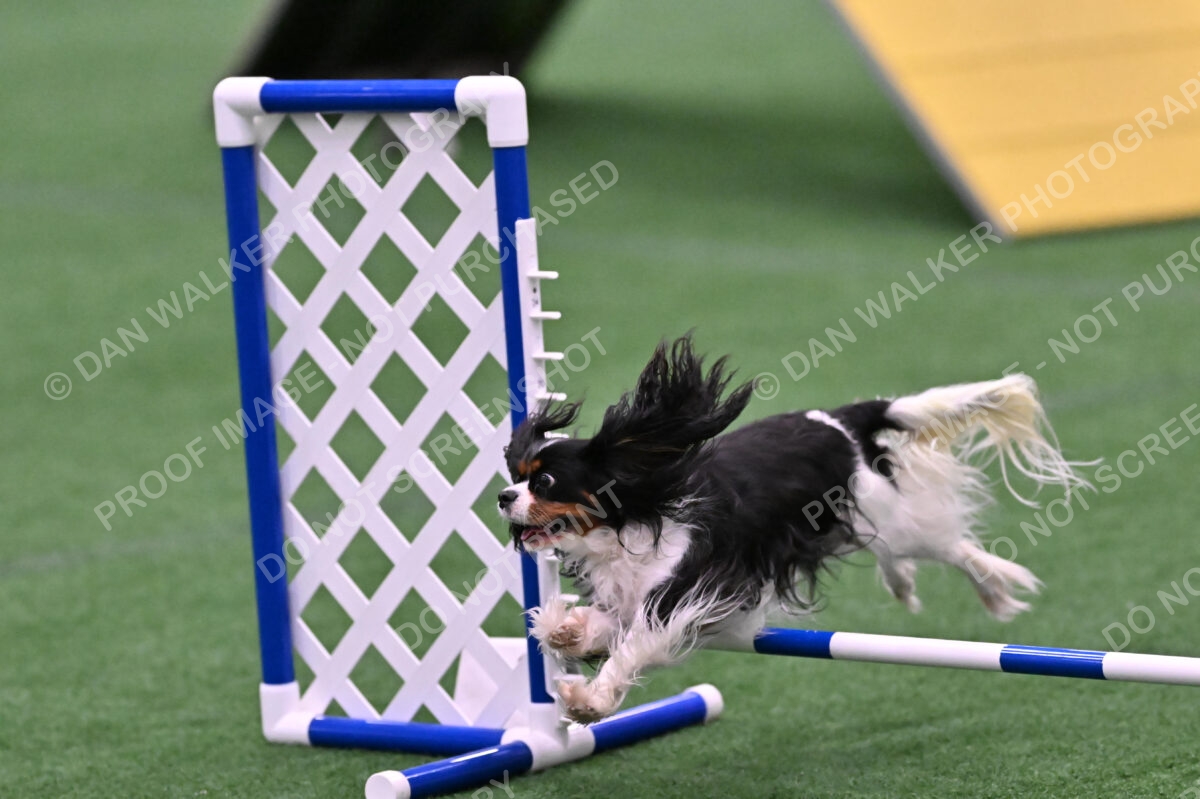 Cami-Rebecca-Schrader-10031