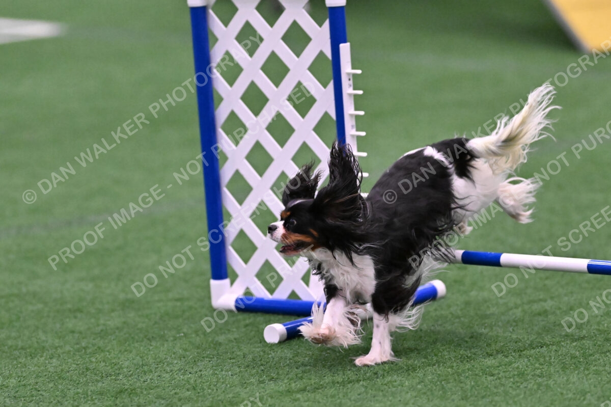 Cami-Rebecca-Schrader-10032