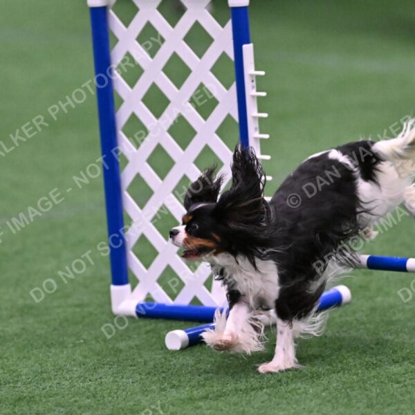 Cami-Rebecca-Schrader-10032