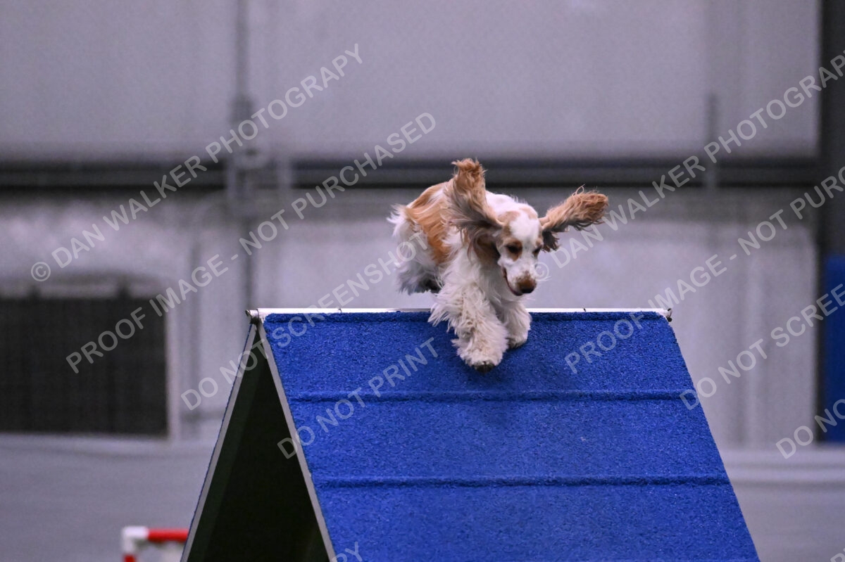 Cara-Colleen-Crowe-00324