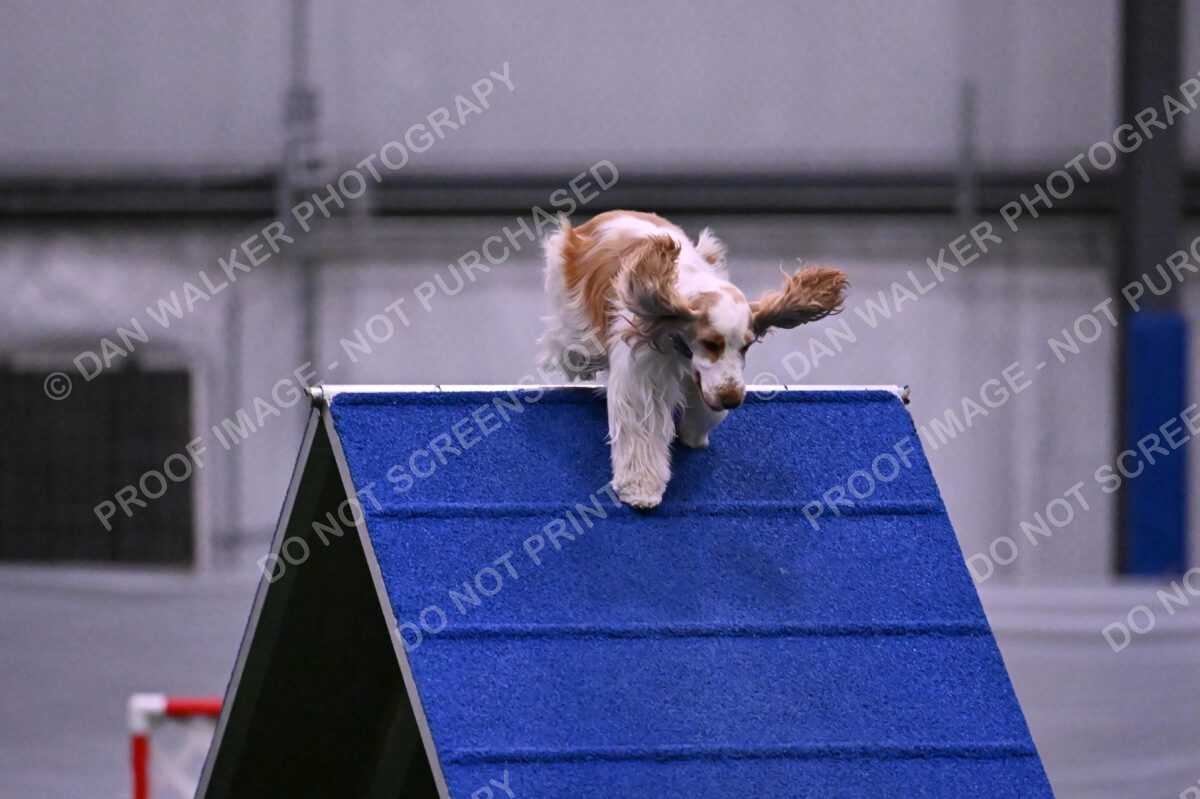 Cara-Colleen-Crowe-00325