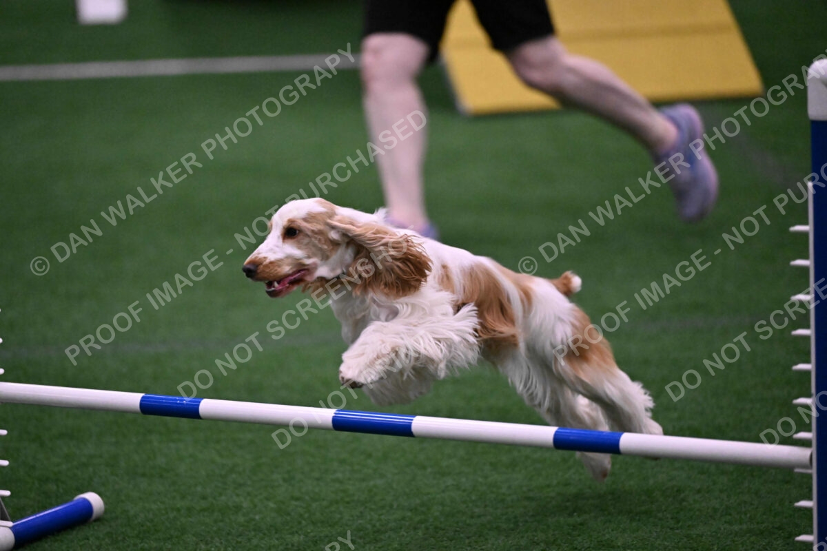 Cara-Colleen-Crowe-00329